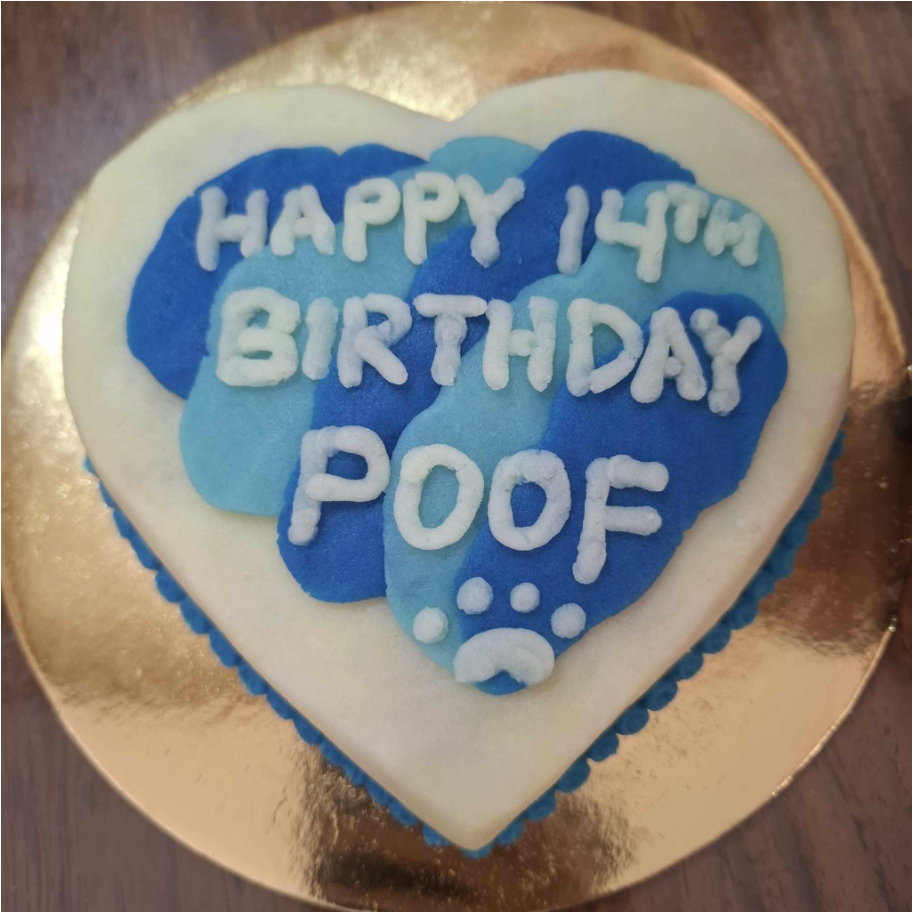 Heart Dog Cake