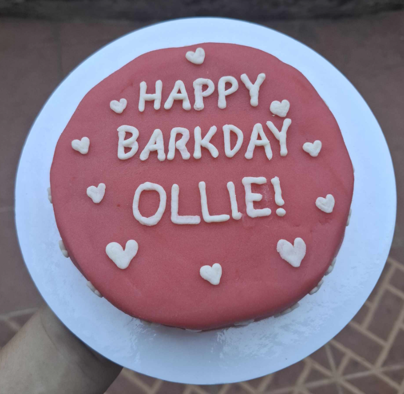 Woof U Dog Cake